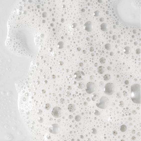 The Elite Renewal Club